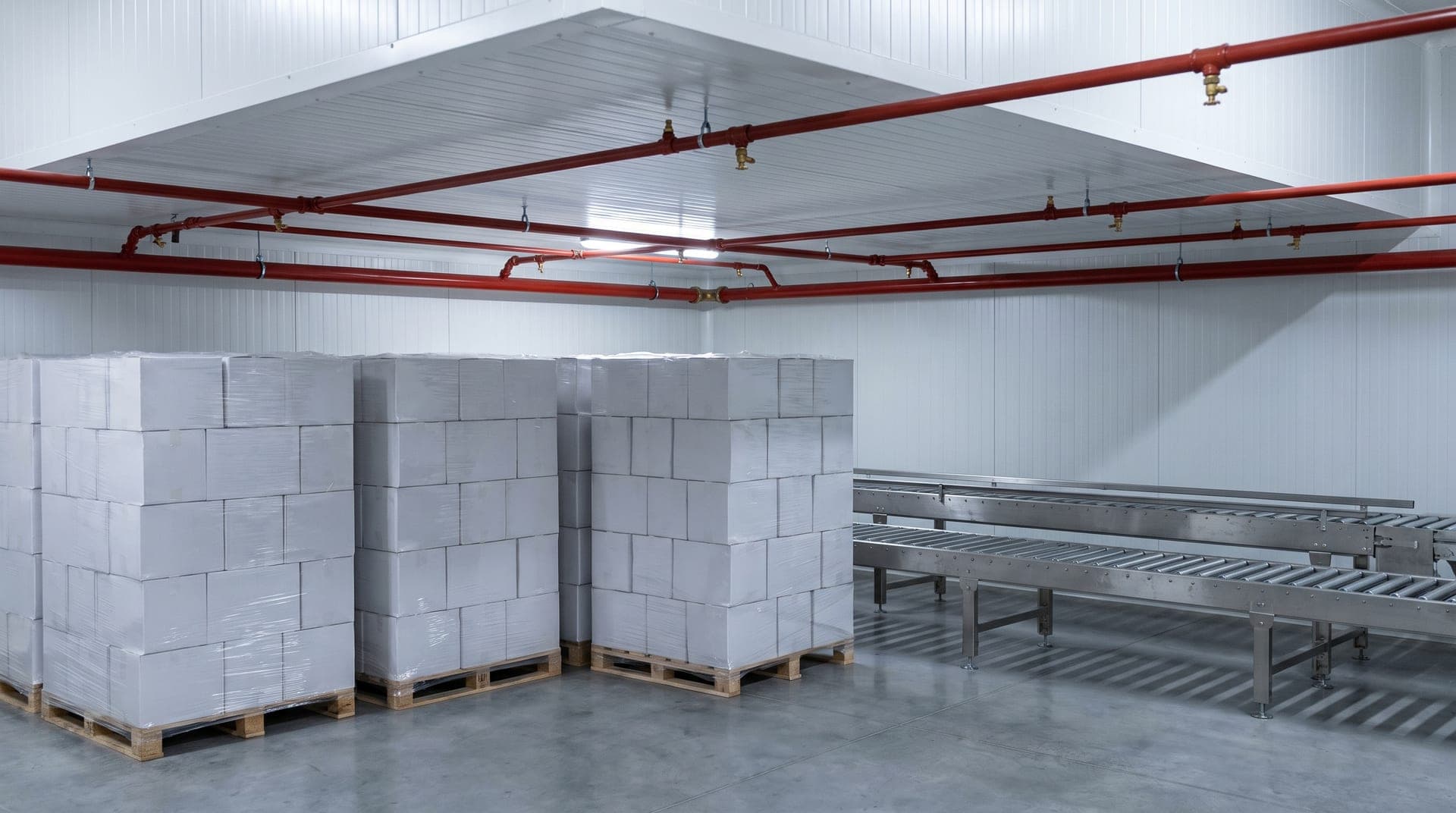 Zone d'expédition d'un atelier alimentaire, palettes de cartons blancs filmés et convoyeurs à rouleaux en inox, canalisations sprinkler rouges sous le plafond isolé