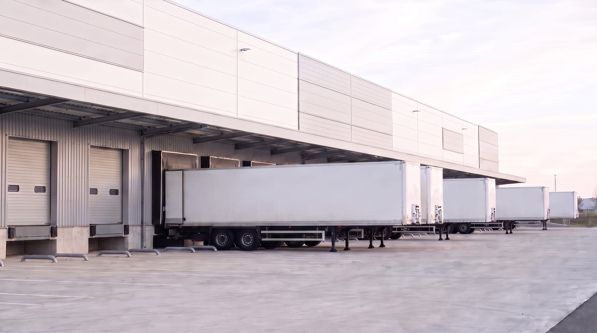 Quais de chargement d'une plateforme logistique neuve, semi-remorques blanches alignées à quai
